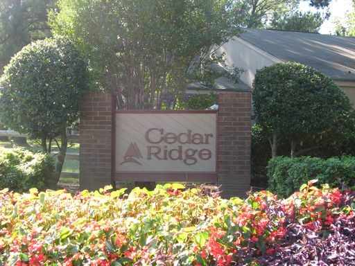 Best single story homes for rent