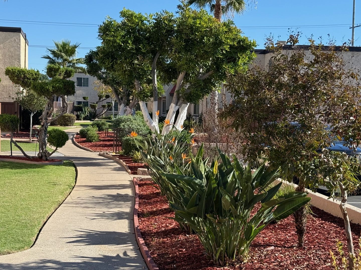 Santee Apartment: 10032 N Magnolia Ave