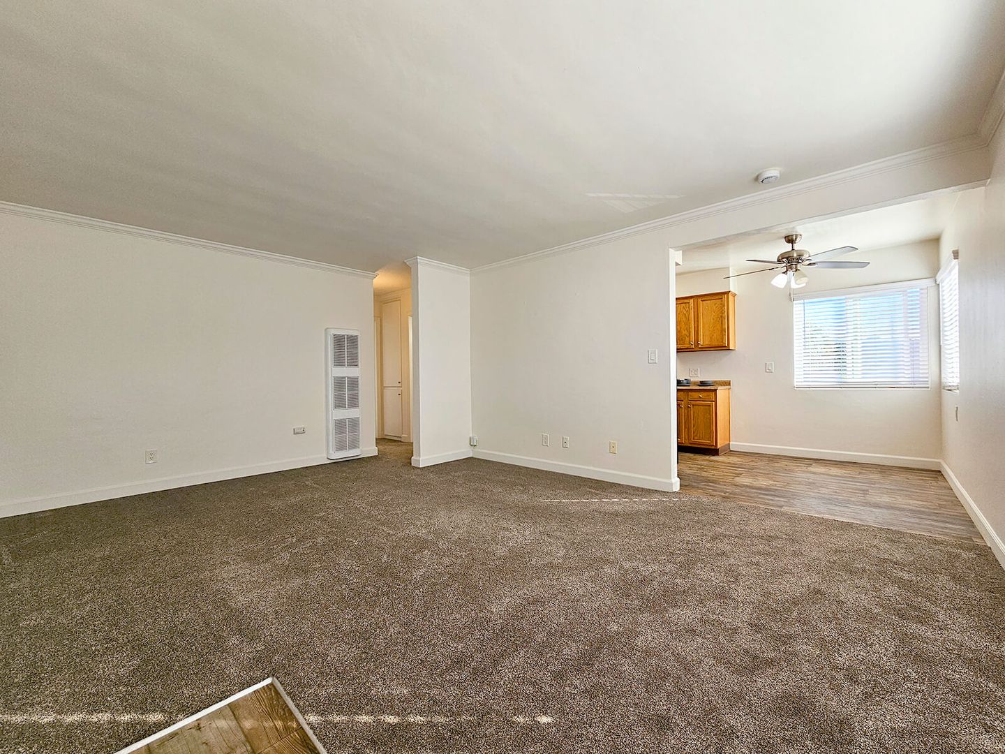 San Diego Apartment: 4418 Bond St