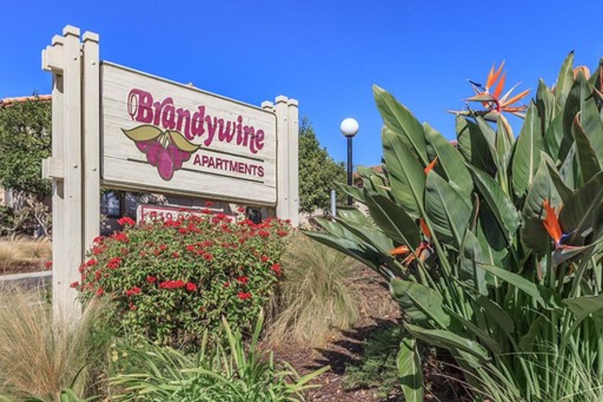 Chula Vista Apartment: 1665 Brandywine Ave