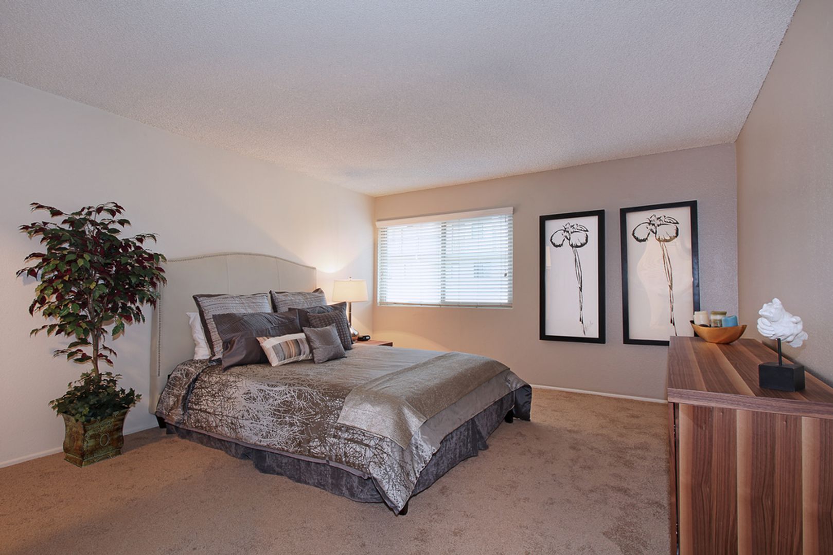 Carlsbad Apartment: 2601 Jefferson St.