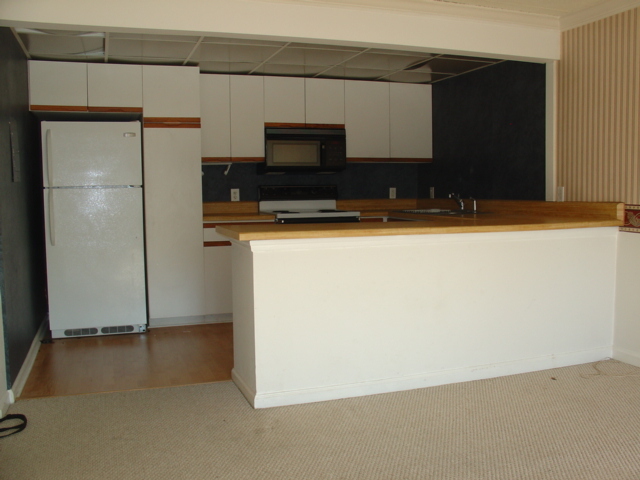 Knoxville Condo: 2749 Sullins St