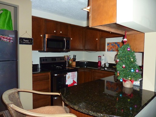 ✴️ Waitlist for Aug2027–Jul2028 Now Open! |1BR Condo Near UTK | Parking Included – photo 1