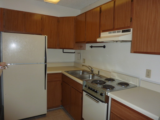 Just Renovated! |1BR Walk to Class – photo 1