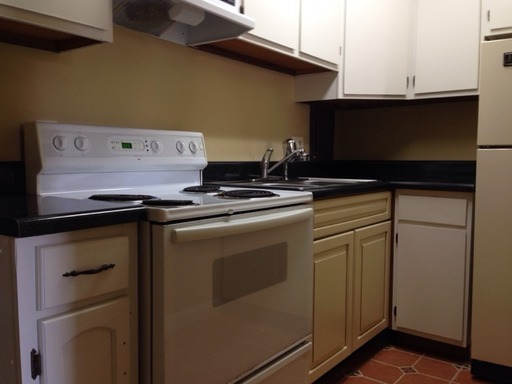 ✴️ Waitlist for Aug2027–Jul2028 Now Open! |1BR Condo Walking Distance to UTK Campus – photo 1