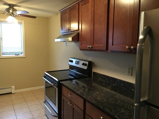Upgraded 2 Bedroom Apartment in Downtown North St. Paul