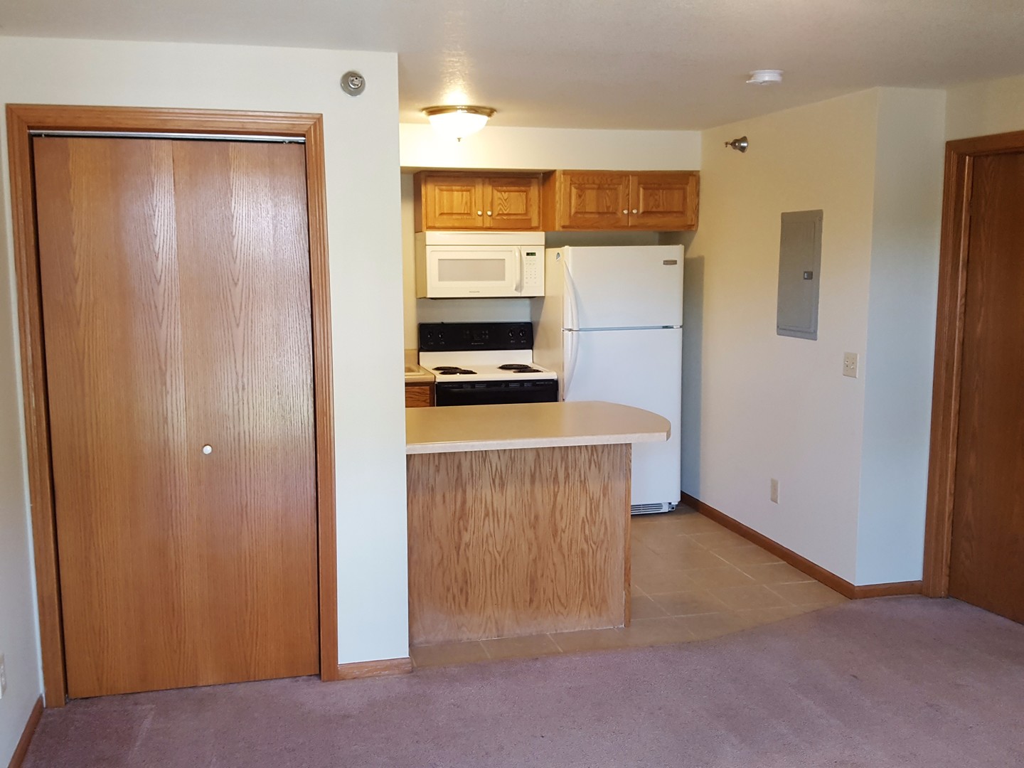 Austin Apartment: 200 E Oakland Ave - Unit J