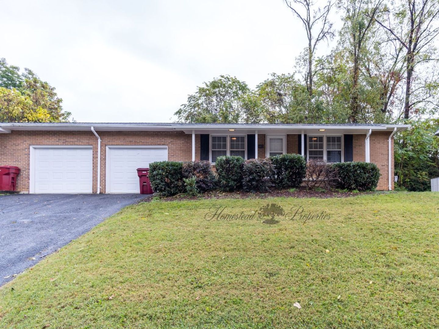 Johnson City Apartment: 806 Morningside Dr