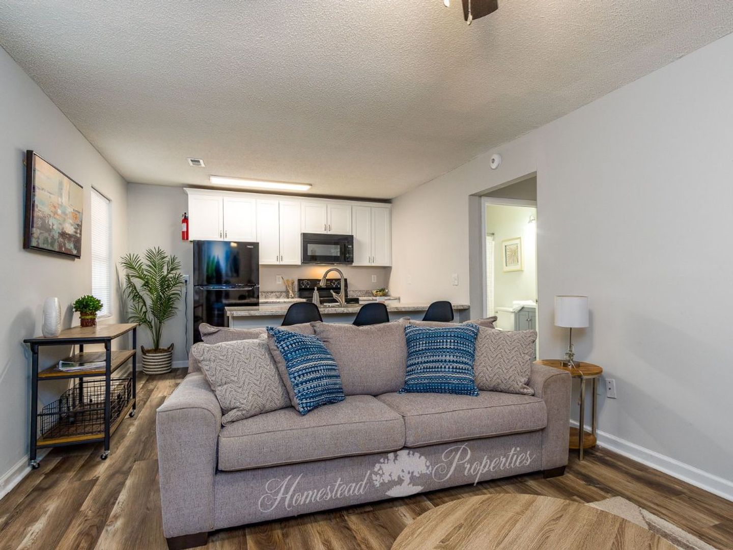 Johnson City Apartment: 120 Reeser Rd