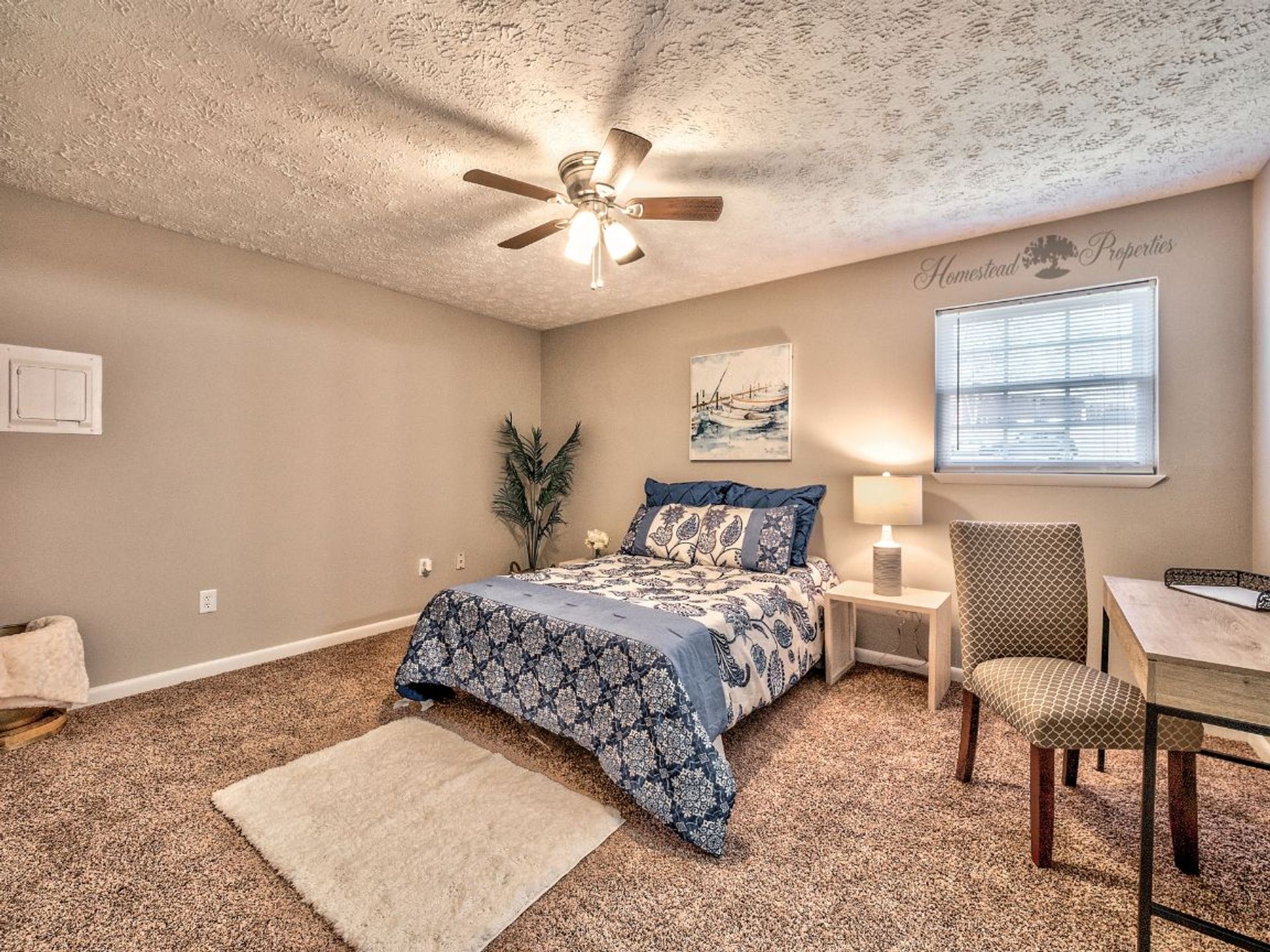 Buccaneer Court 4 of 12