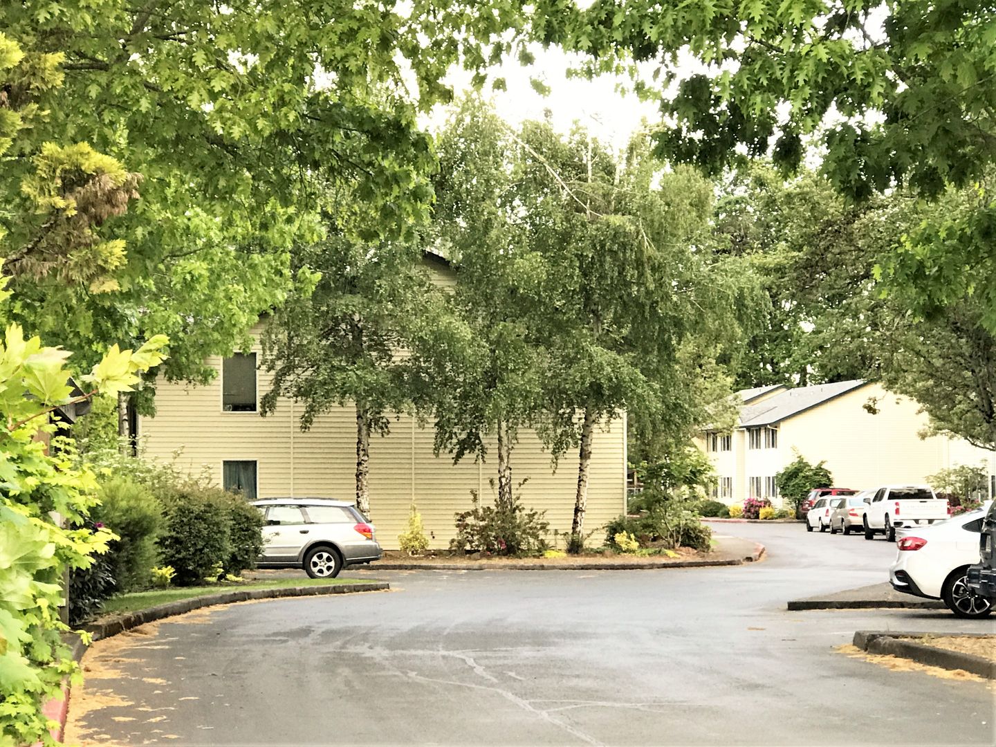 Independence Apartment: 4311-4373 Independence Hwy