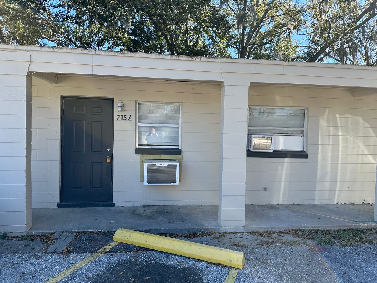 Winter Garden Apartment: 722 S Woodland St,
