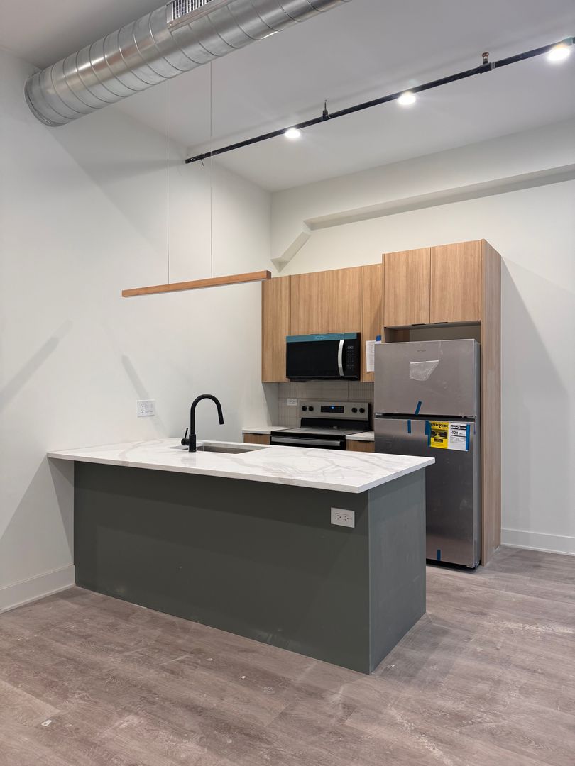 Chicago Apartment: 813 W Evergreen Ave