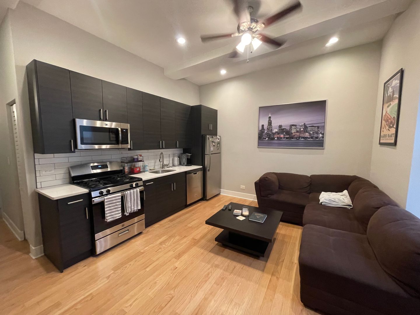 Chicago Apartment: 1038 N Ashland Ave.