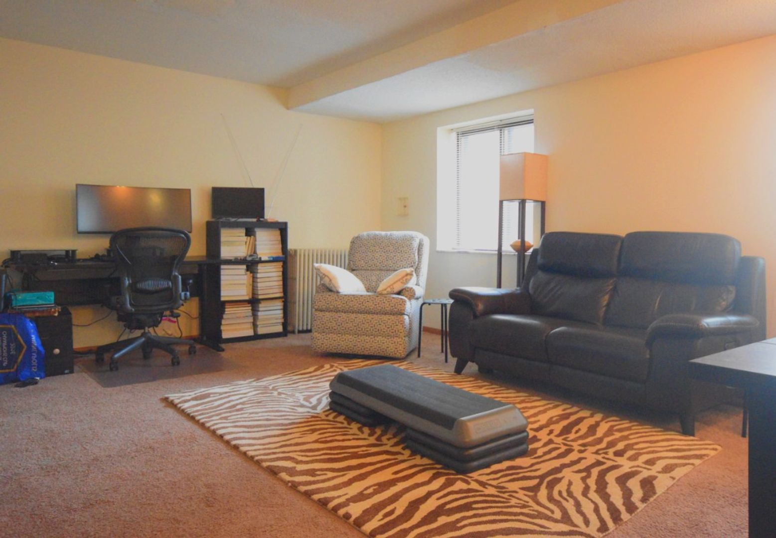 St Paul Apartment: 499 Snelling Ave S