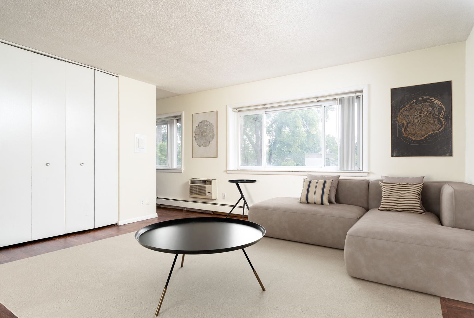 Minneapolis Apartment: 242 West Franklin Ave
