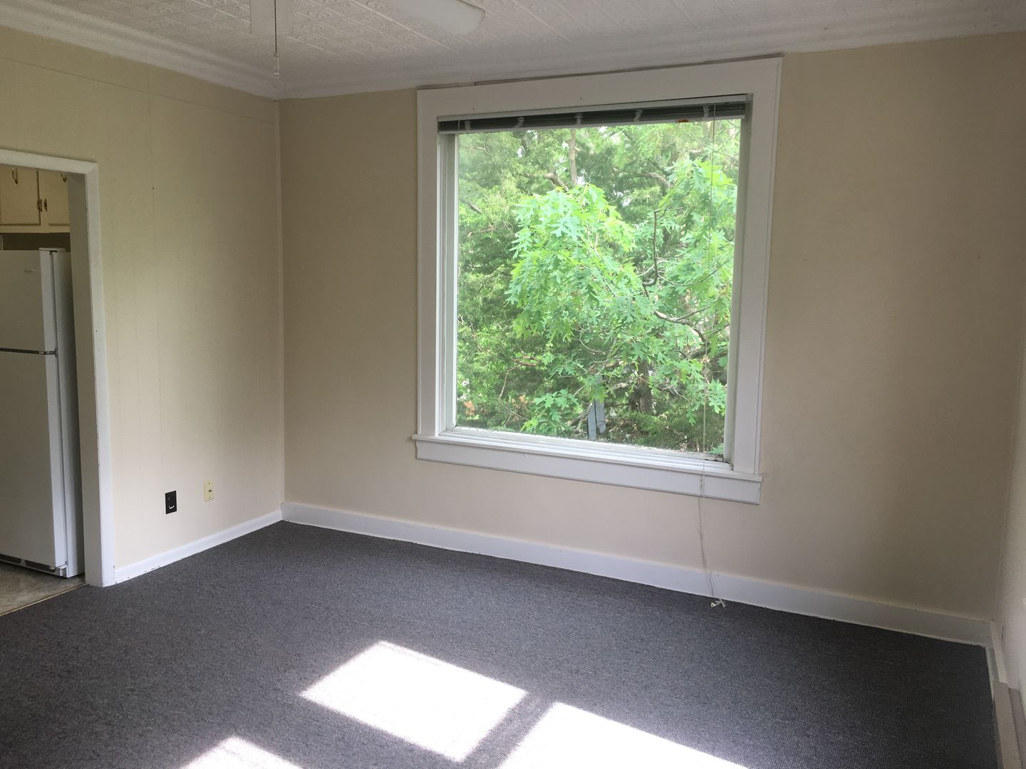 Charleston Apartment: 1041 7th Street