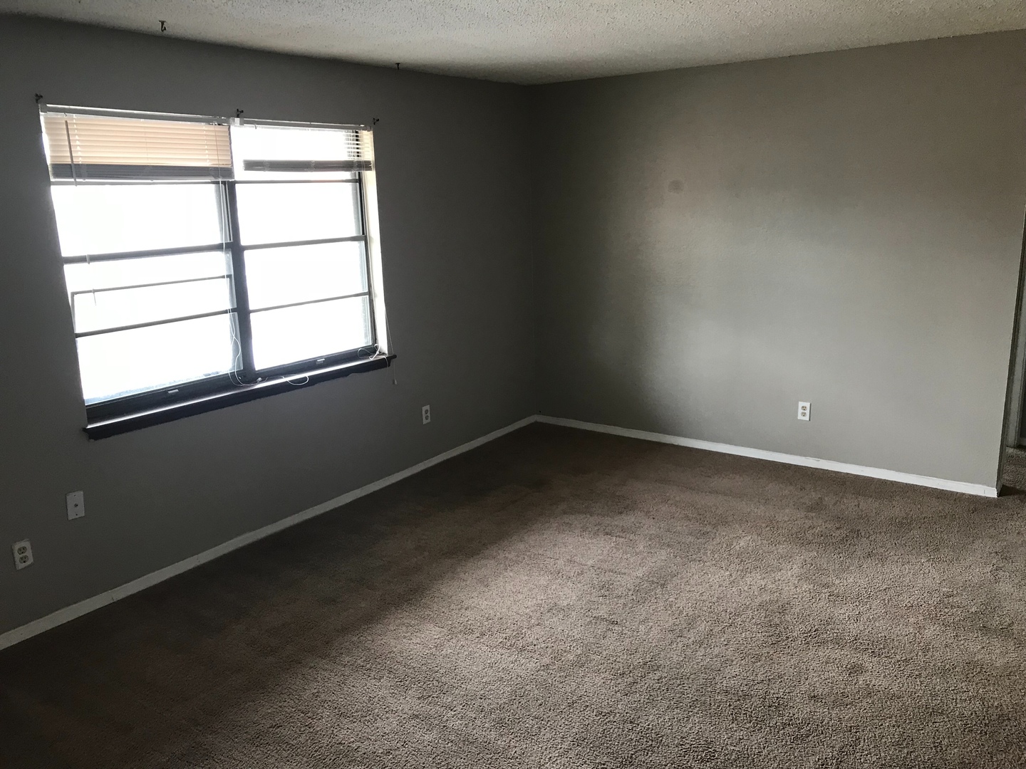 Columbia Apartment: 240 Apple Tree Ct