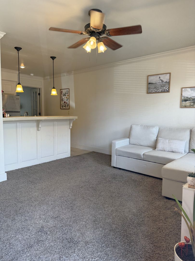 Fayetteville Apartment: 711 W. Douglas Street