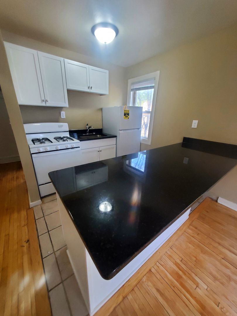 Saint Paul Apartment: 535 Asbury St