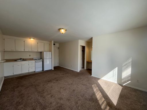 Beautiful Ford Parkway Studio! Off Street Parking! – photo 1