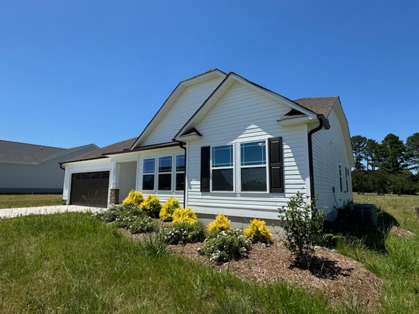 Selma House: 22 Longford Dr