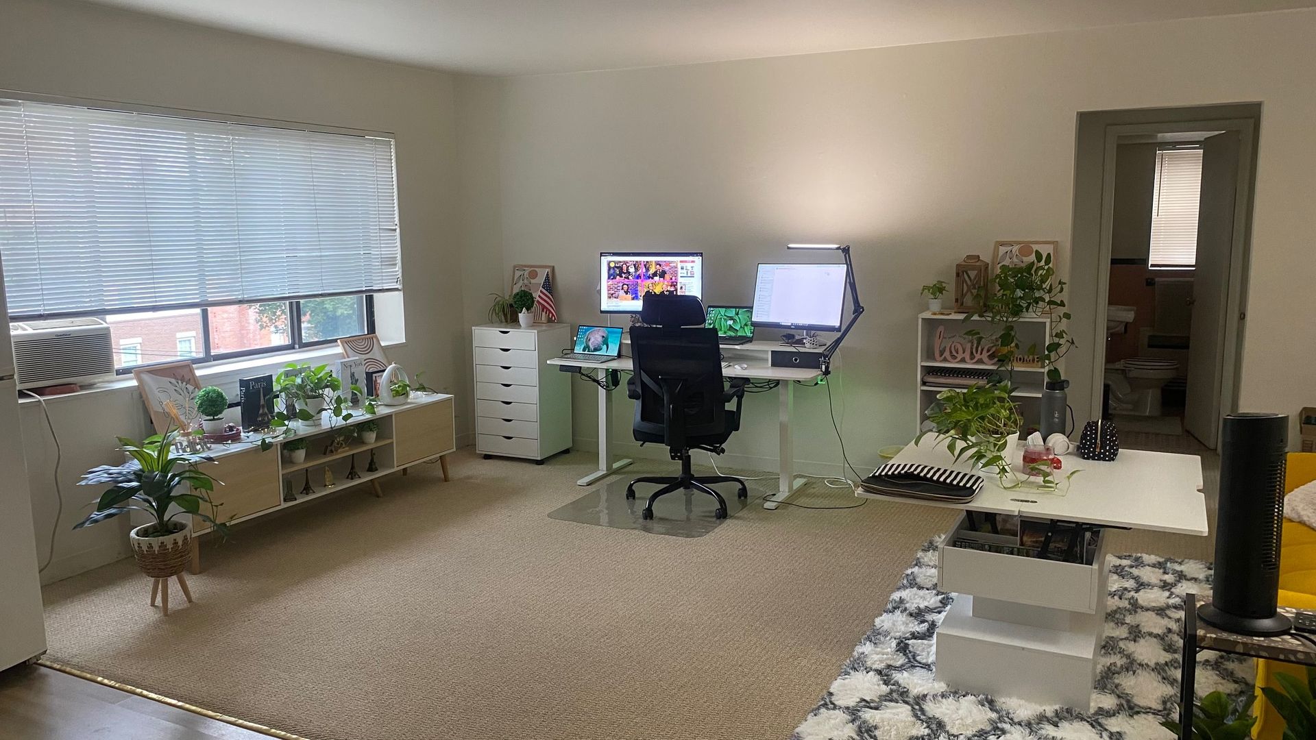 Rochester Apartment: 7 N. Goodman St