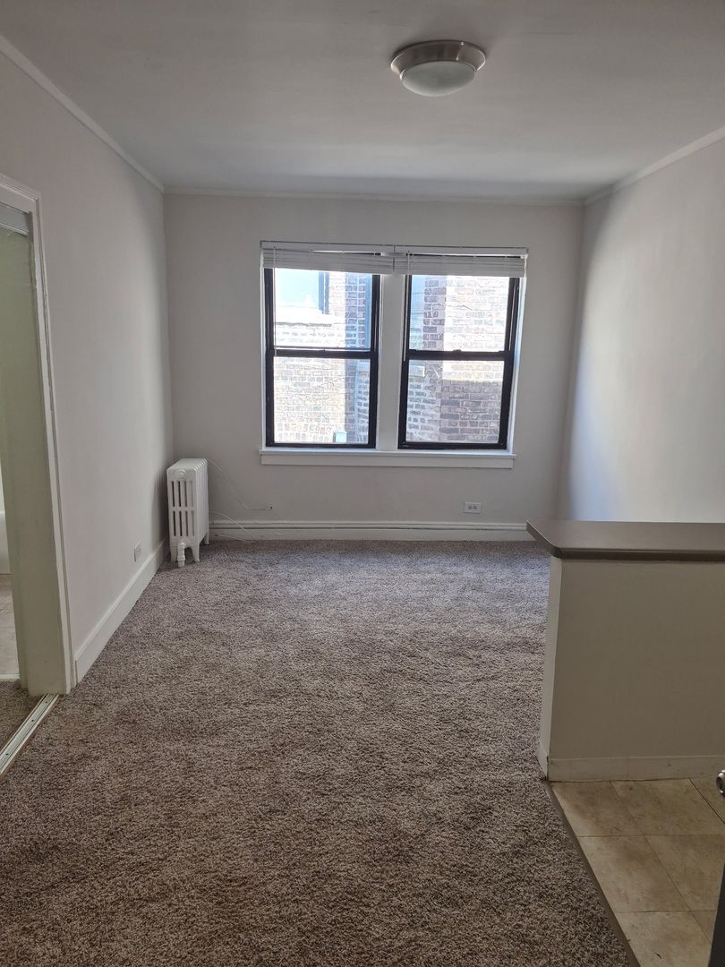 Chicago Apartment: 5210-14 South Woodlawn Avenue