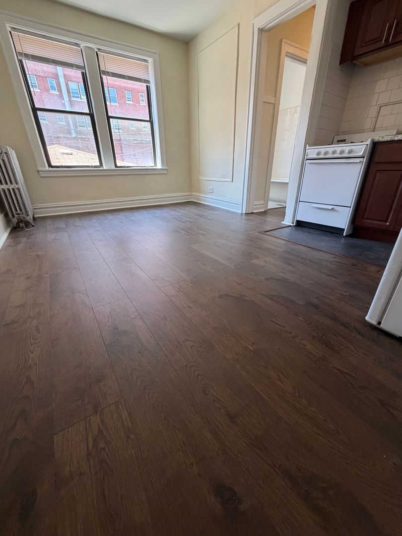 Chicago Apartment: 941 W. Agatite