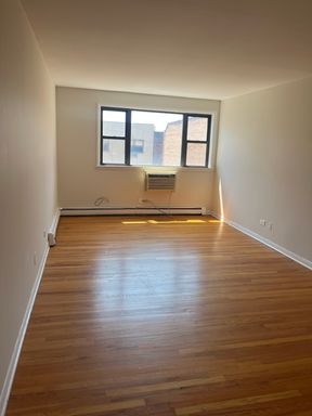 Spacious and bright 1 bedroom in lakeview – photo 1