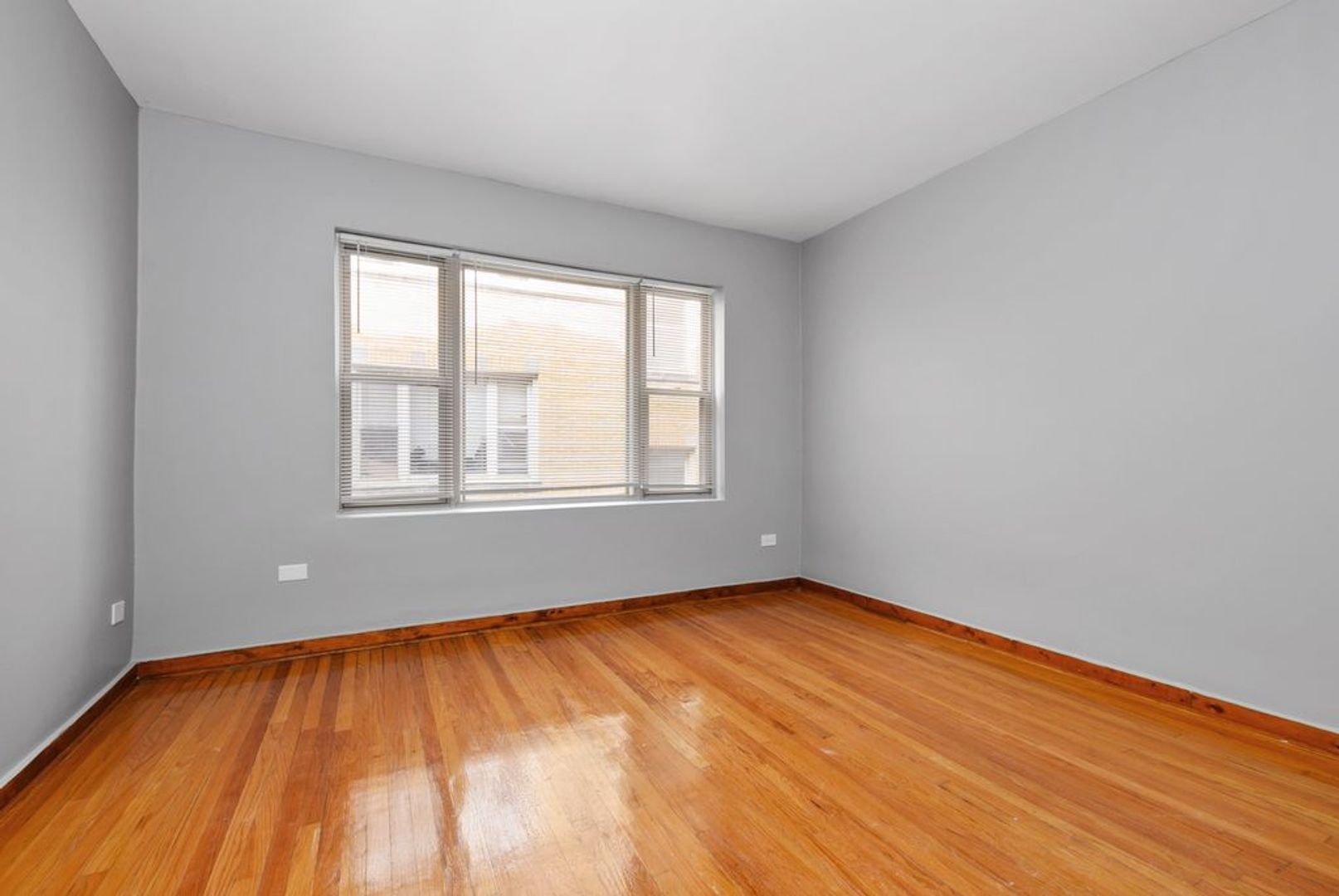 Chicago Apartment: 6349 S Kedzie Ave