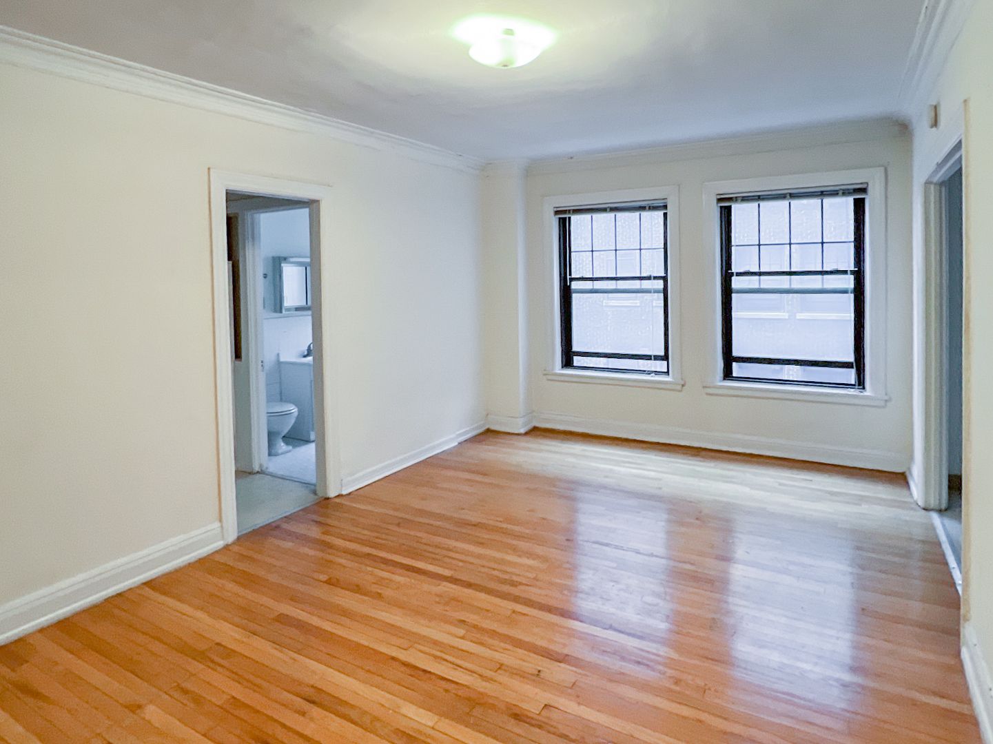Chicago Apartment: 540 W. Briar Pl.