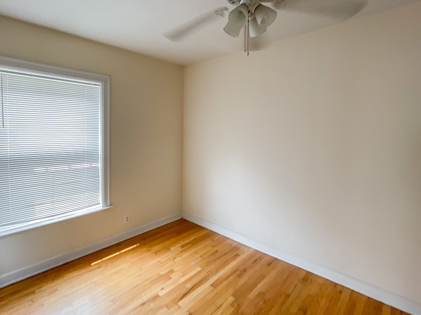 Chicago Apartment: 5208 N. Damen Ave.