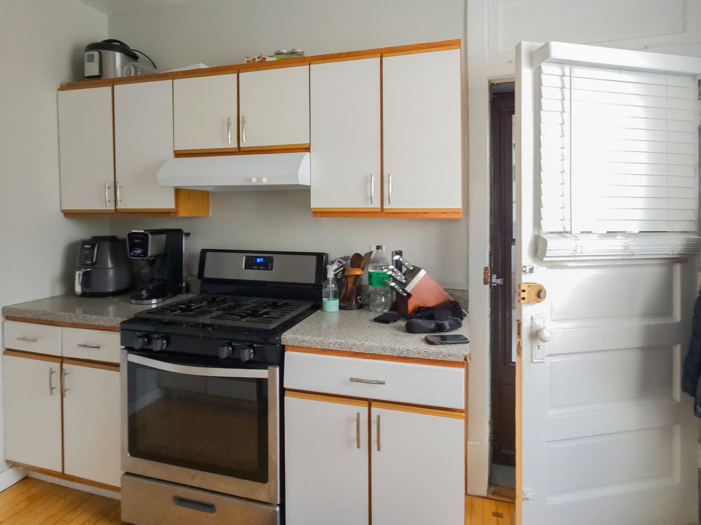 Chicago Apartment: 4501 N. Greenview Ave.