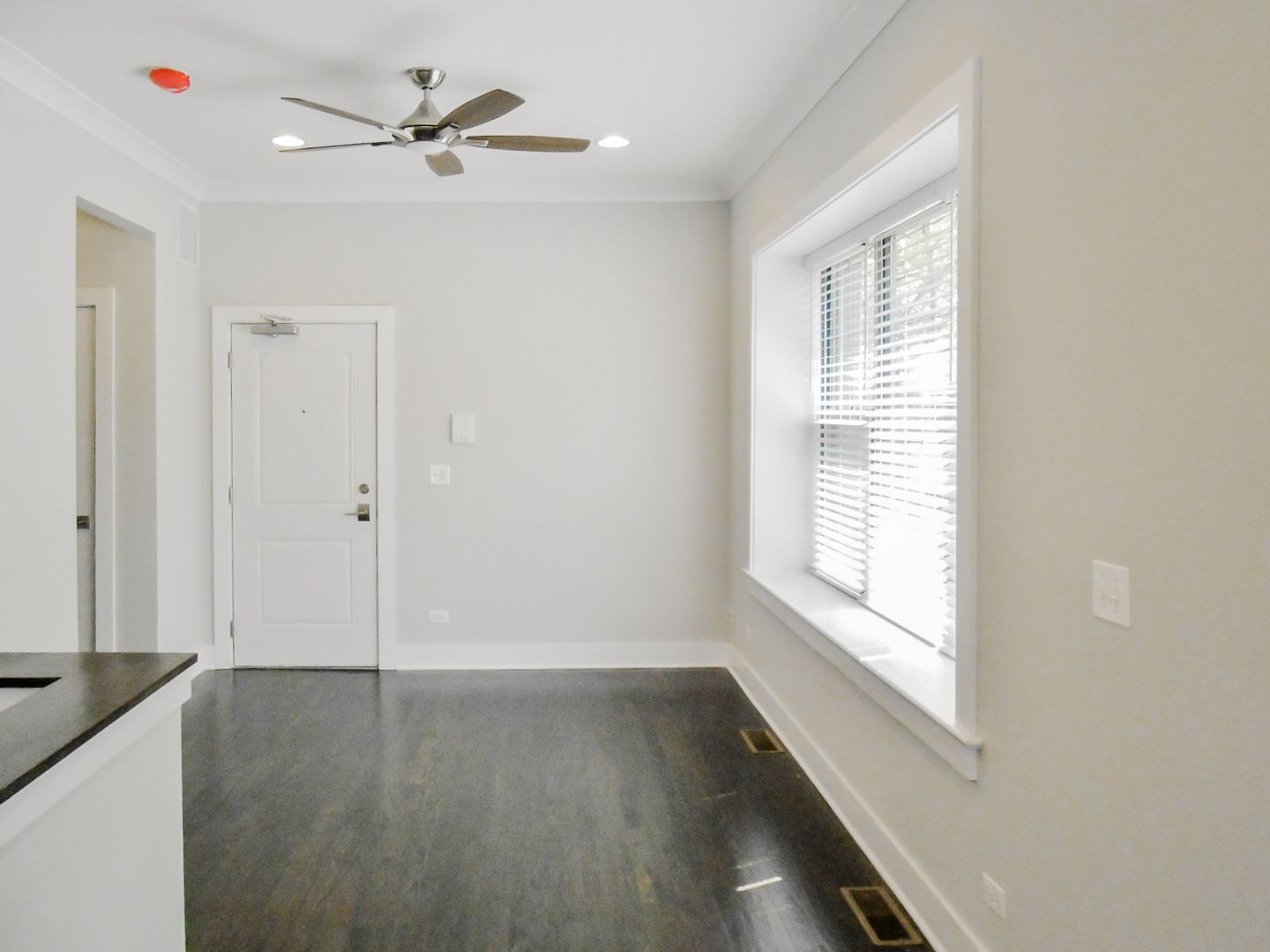 Chicago Apartment: 1946 W. Nelson St.