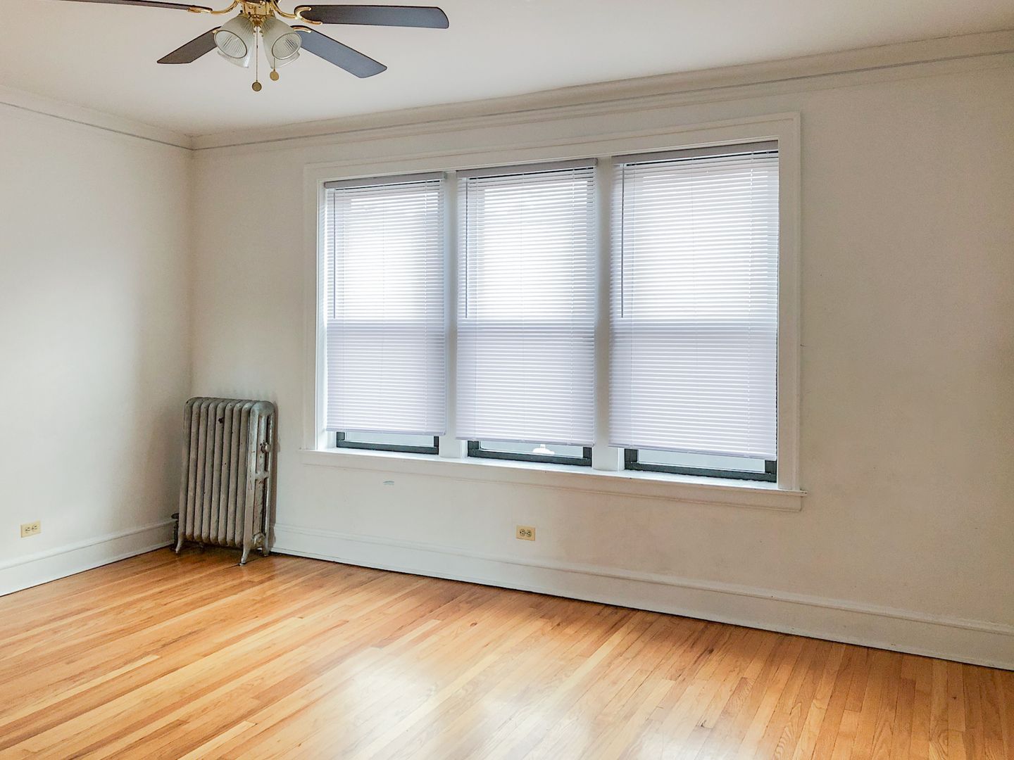 Chicago Apartment: 1478 W. Byron St.