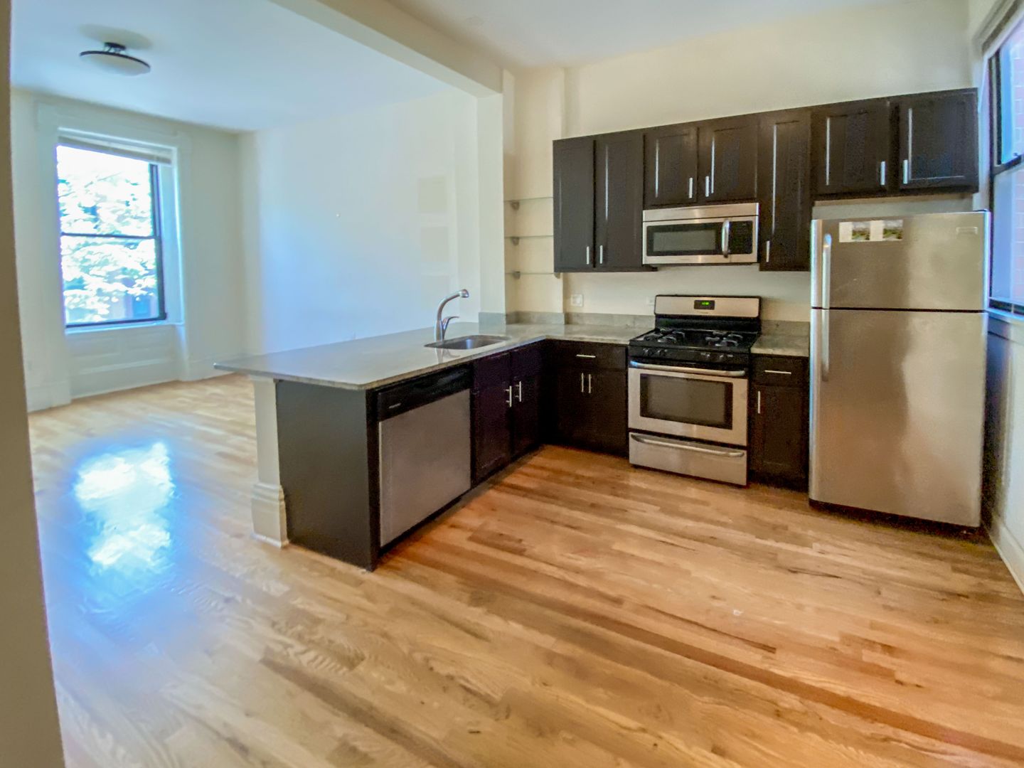 Chicago Apartment: 2954 N. Racine Ave.