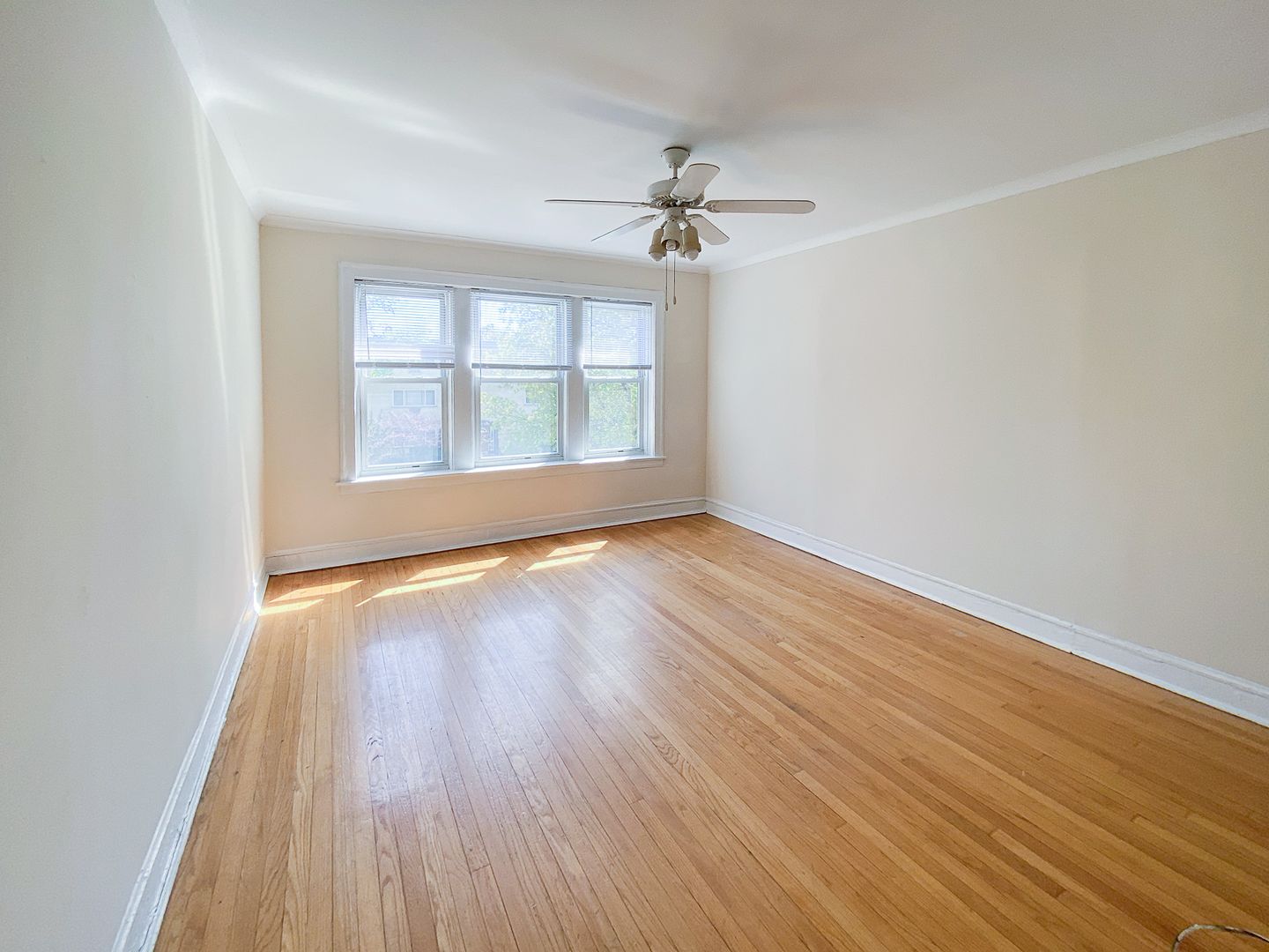 Chicago Apartment: 5032 N. Wolcott Ave.