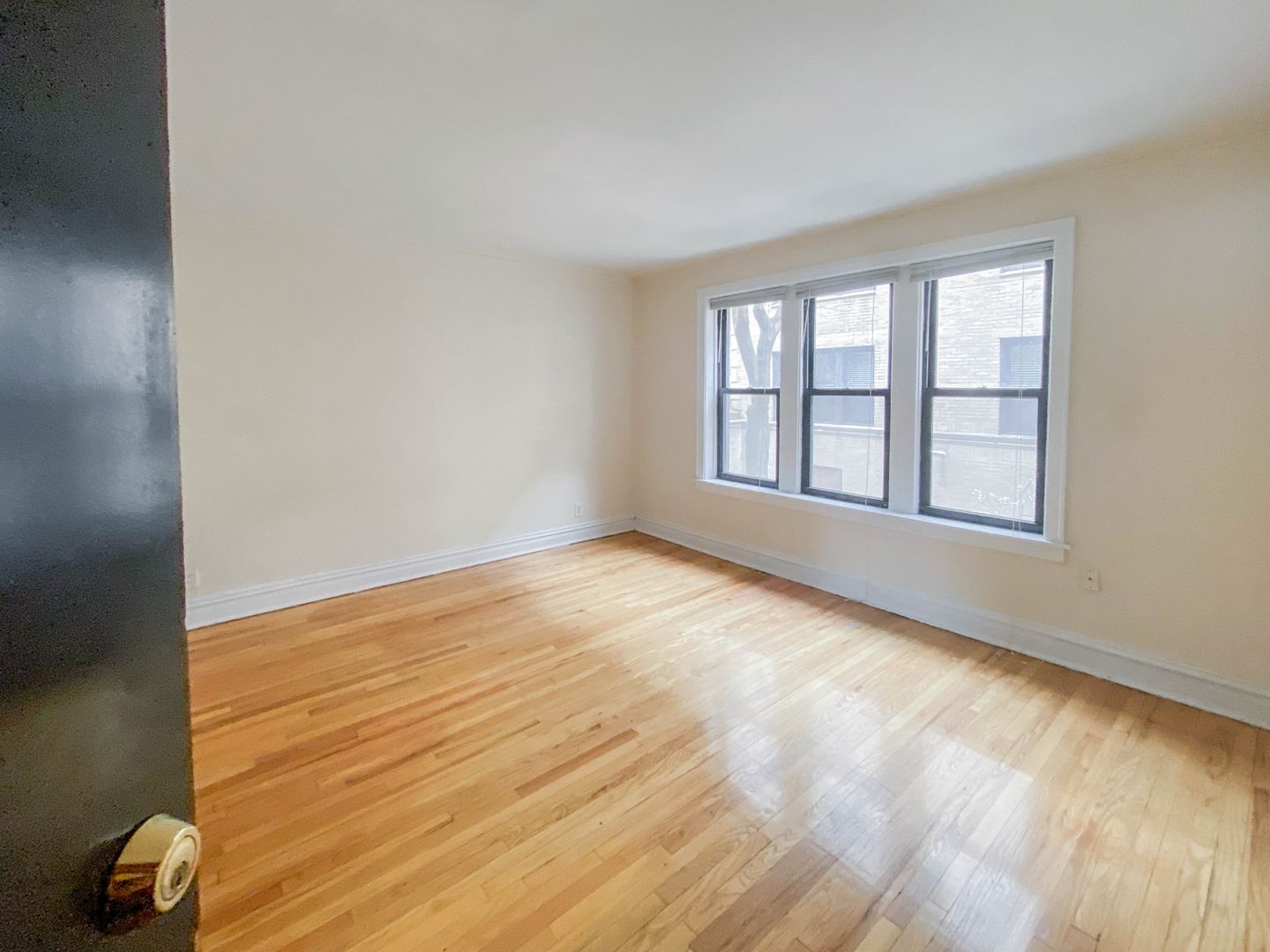 Chicago Apartment: 617 Melrose St.