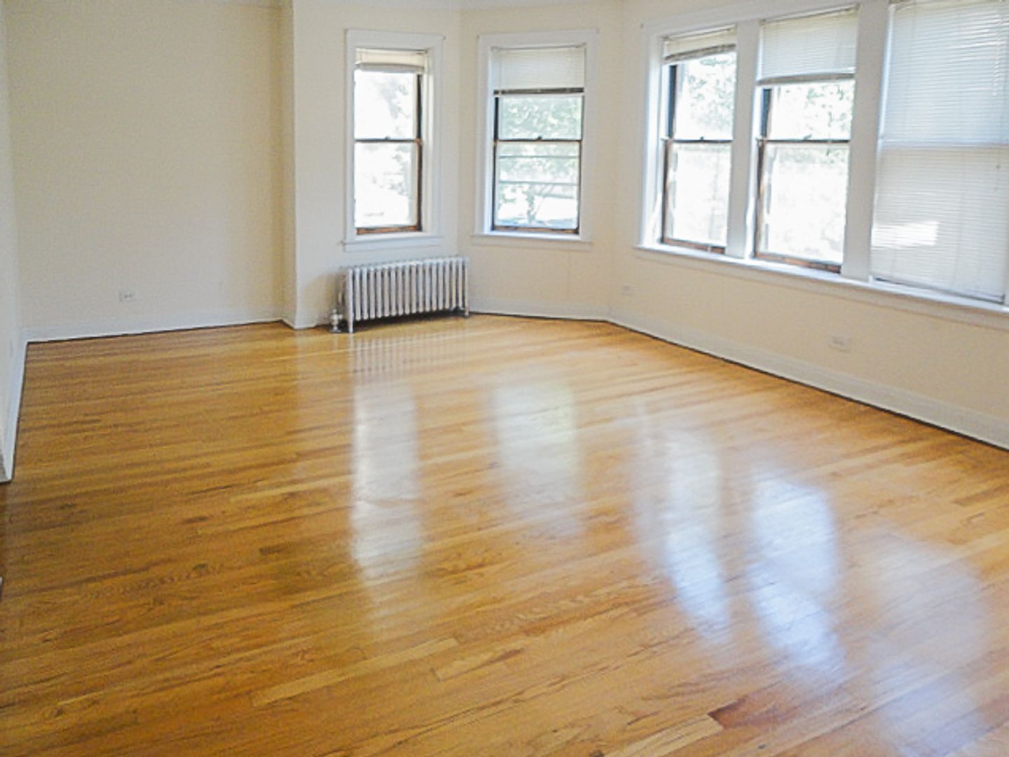 Chicago Apartment: 2542 W. Summerdale Ave.