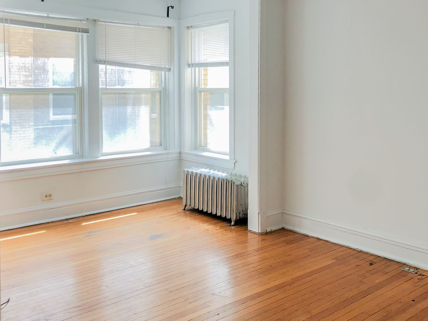 Chicago Apartment: 5055 N. Damen Ave.
