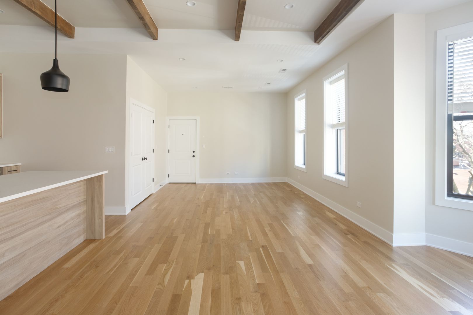 Chicago Apartment: 1405 W. Belden Ave.