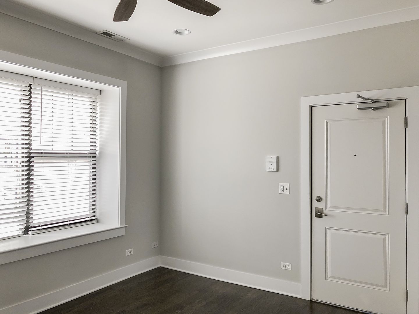 Chicago Apartment: 1946 W. Nelson St.