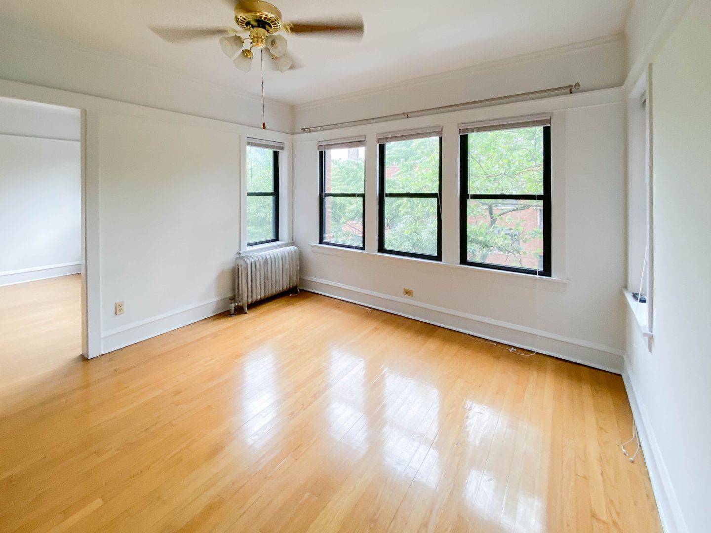 Chicago Apartment: 3501 N. Greenview Ave.