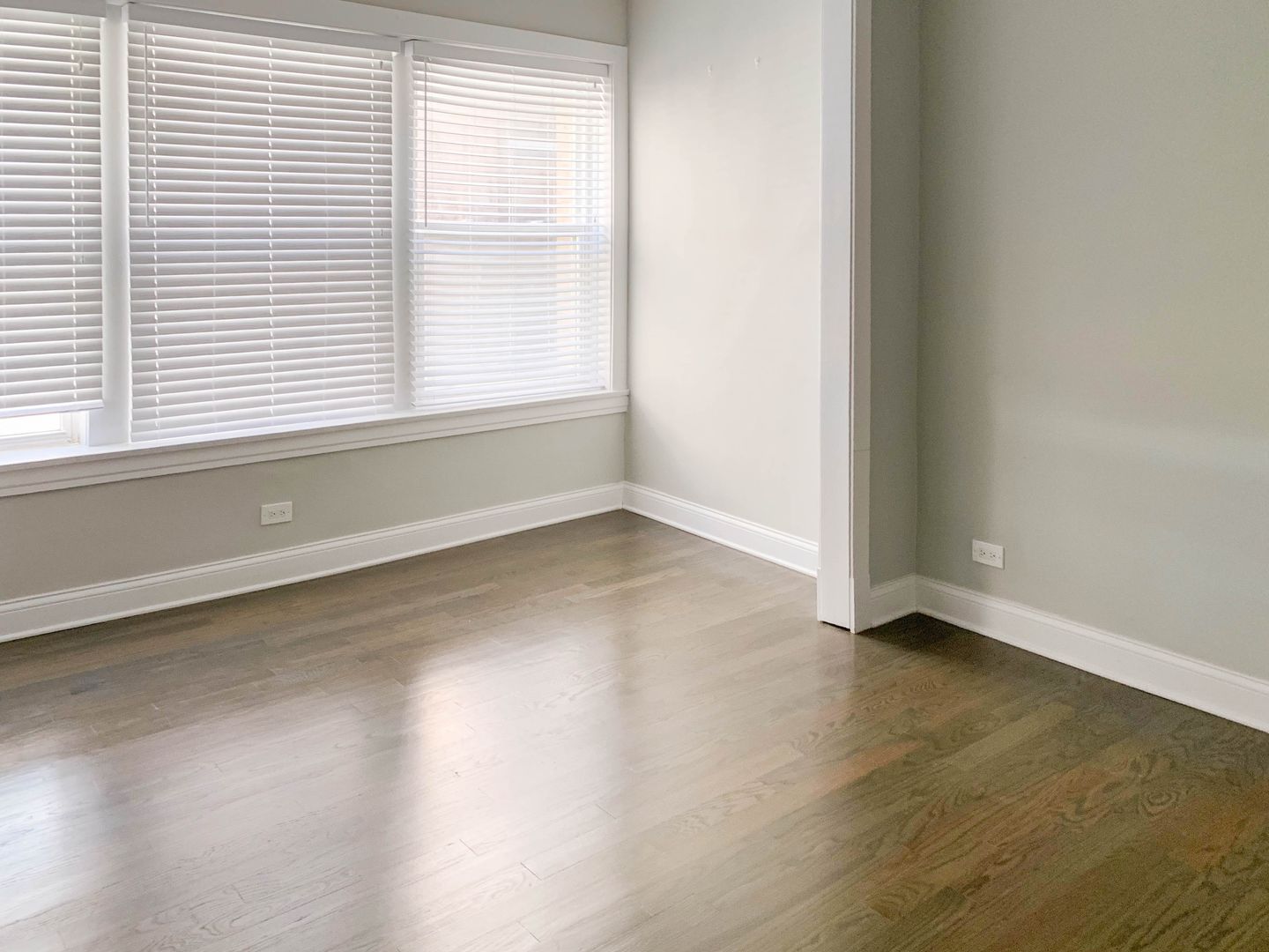 Chicago Apartment: 5055 N. Damen Ave.