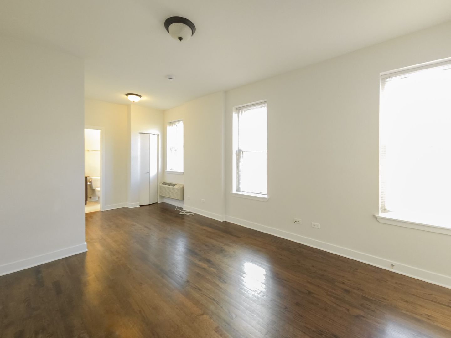 Chicago Apartment: 1900 N. Lincoln Ave.