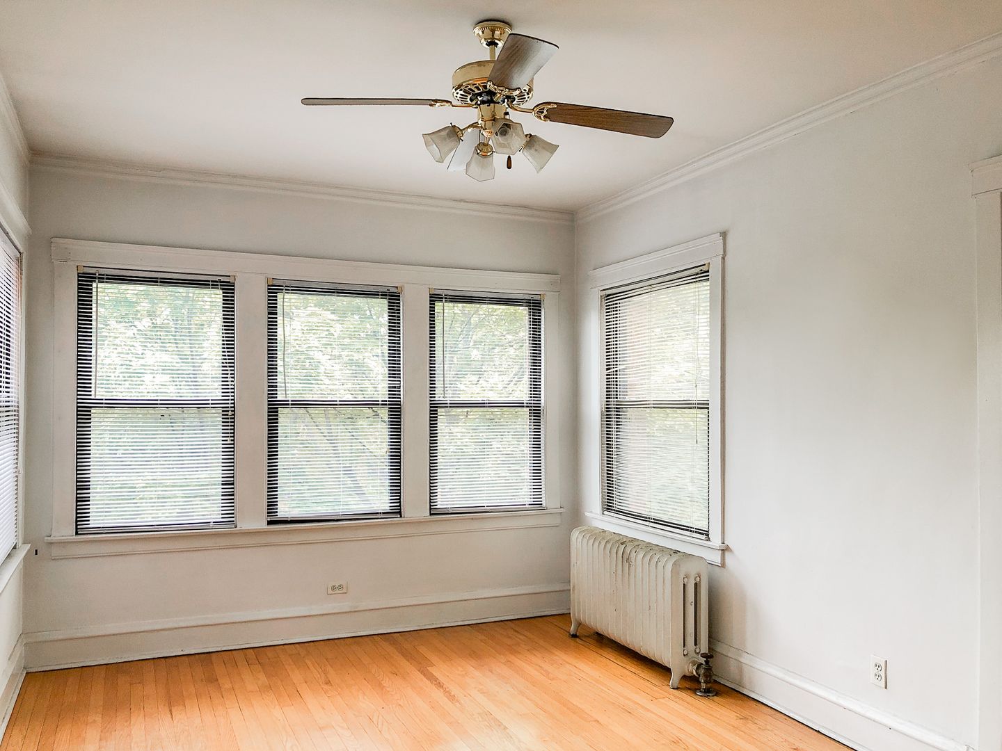 Chicago Apartment: 3501 N. Greenview Ave.