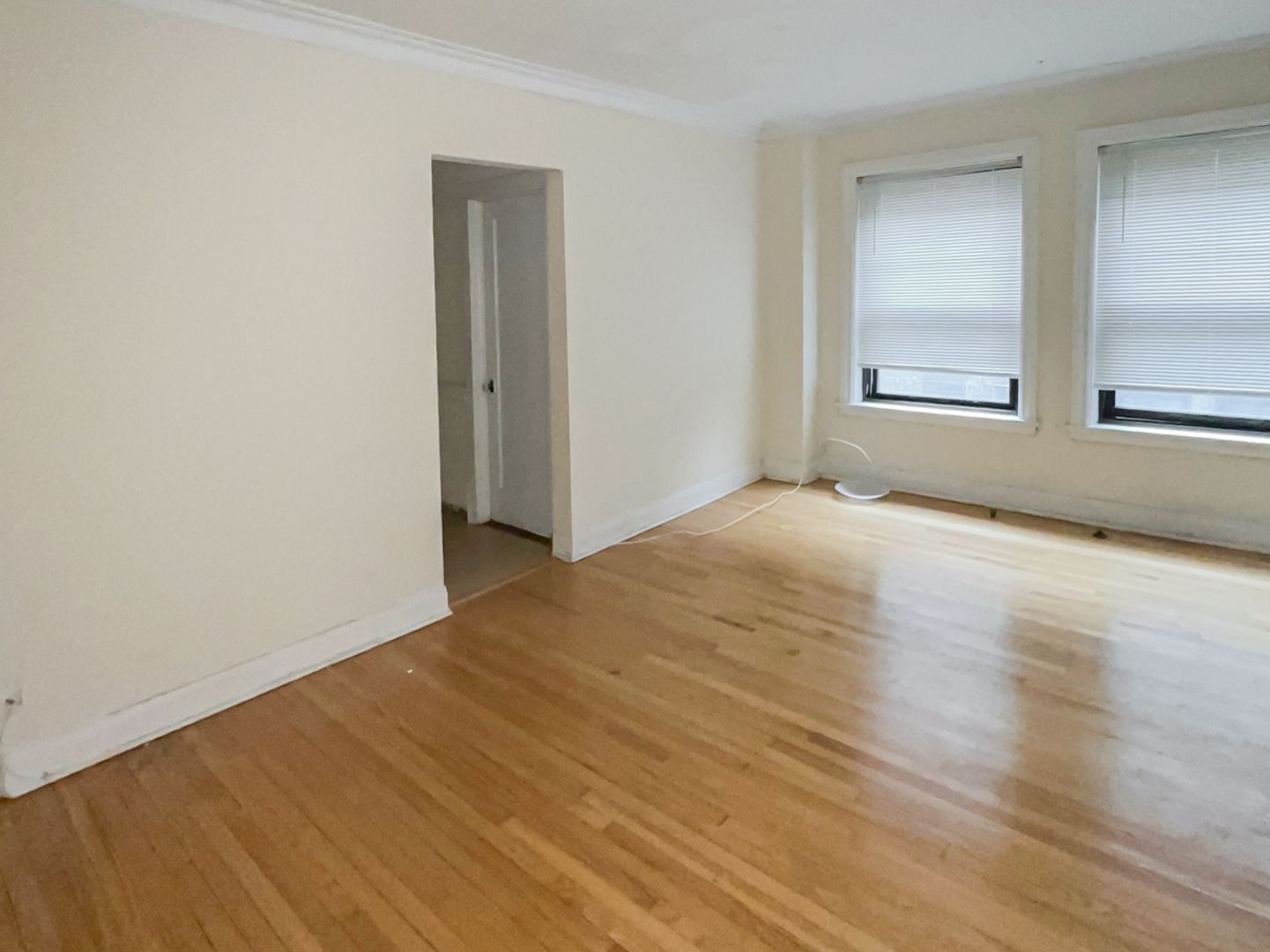 Chicago Apartment: 540 W. Briar Pl.