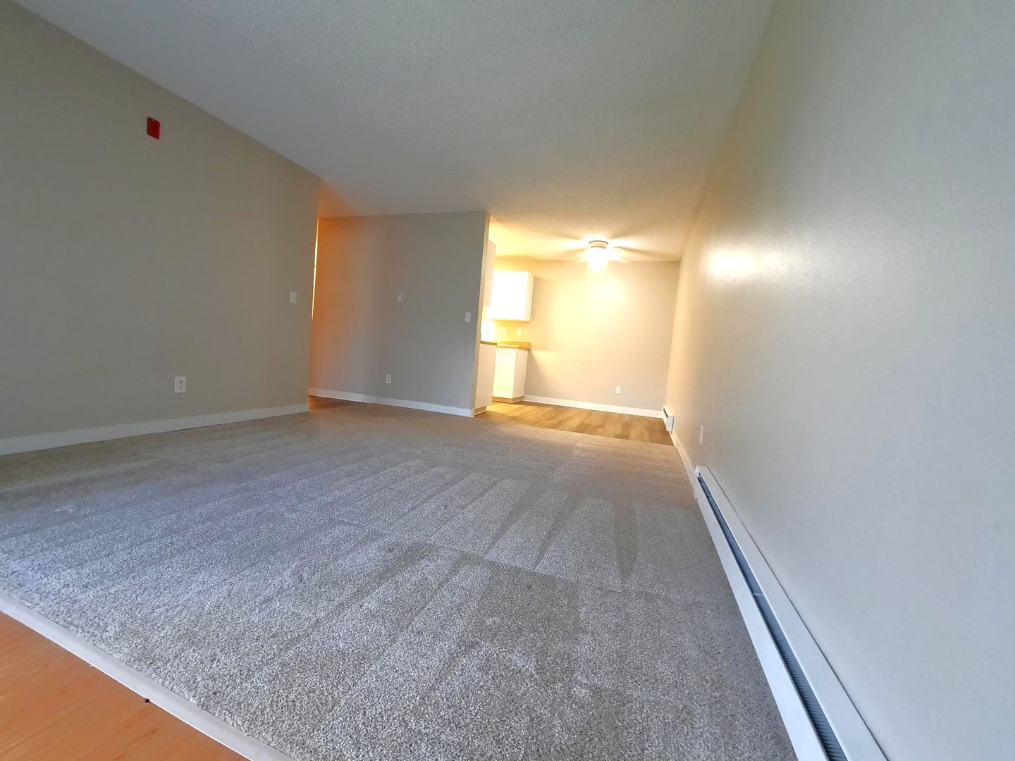 Auburn Apartment: 1936 F Street SE