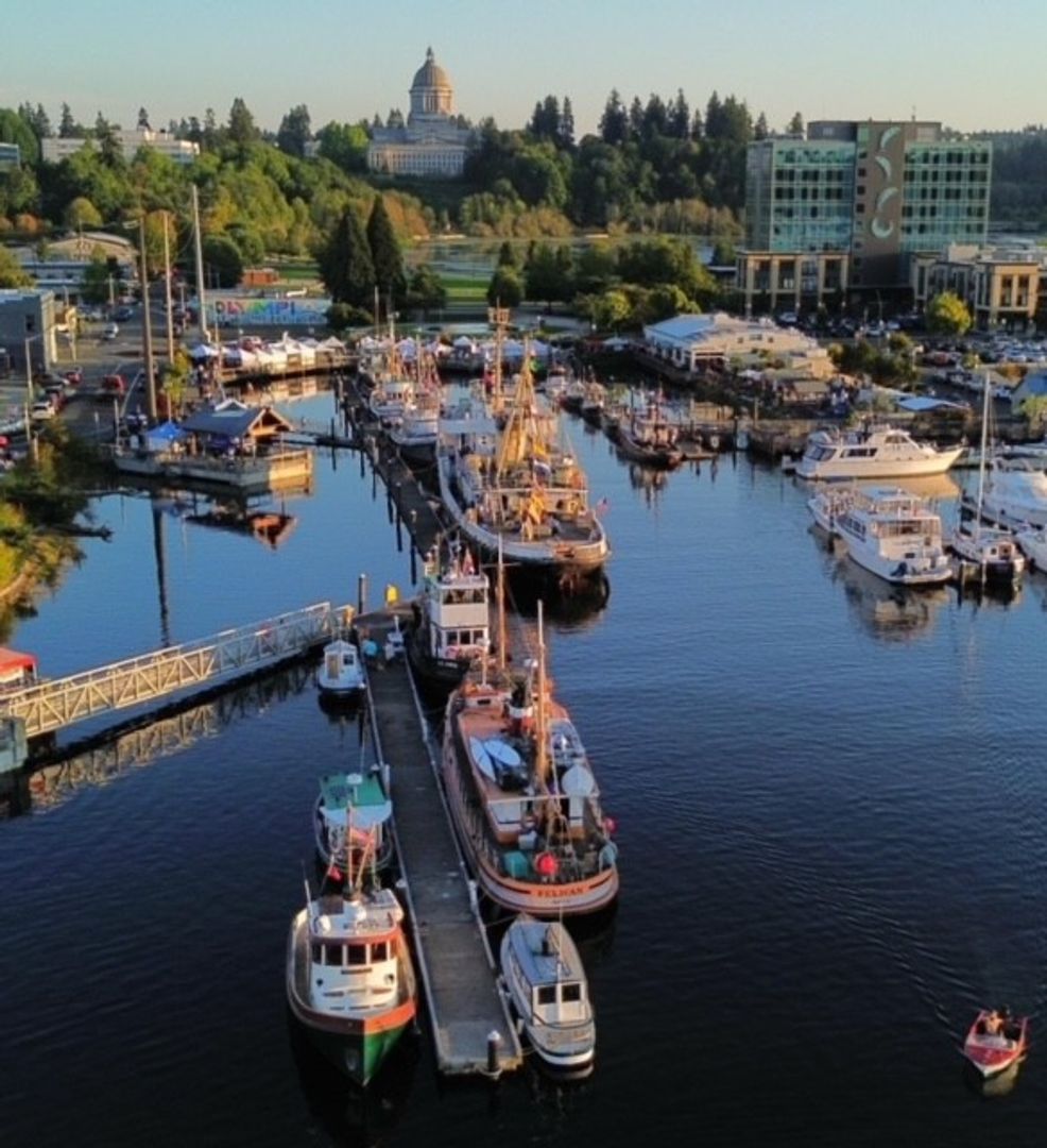 Olympia Apartment: 410 5th Avenue SW